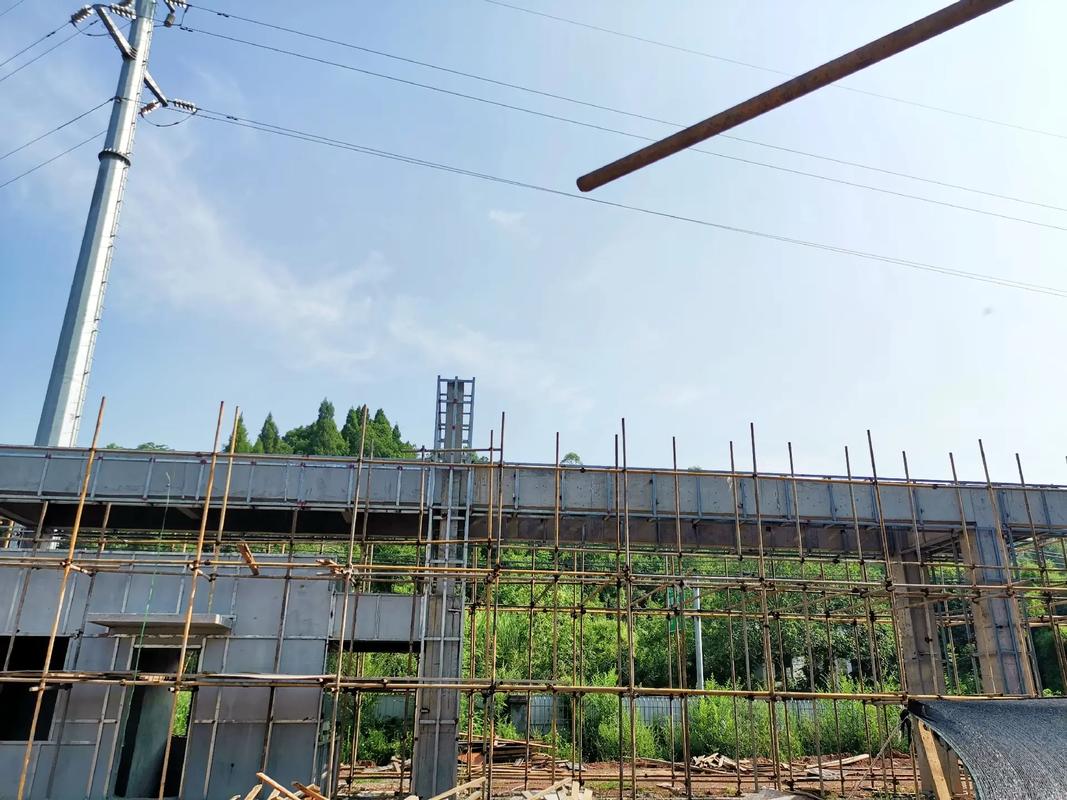 主体轮廓呈现 #食品工厂建设 #农副产品加工 #乡村振兴 # - 抖音